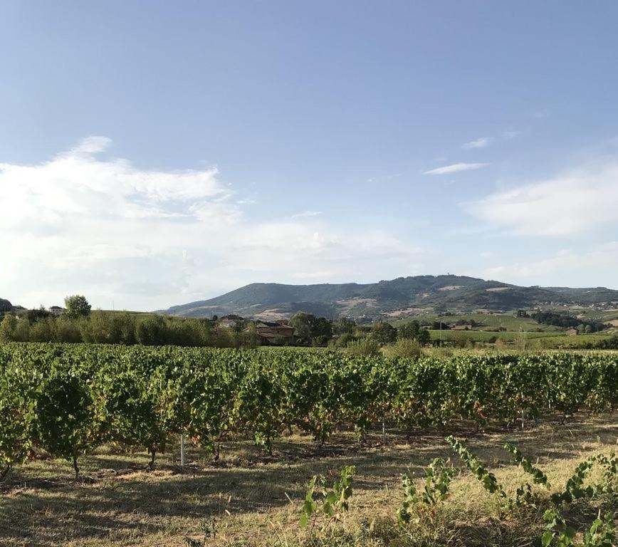 La Boheme, Gite De Charme Quincie-en-Beaujolais Экстерьер фото