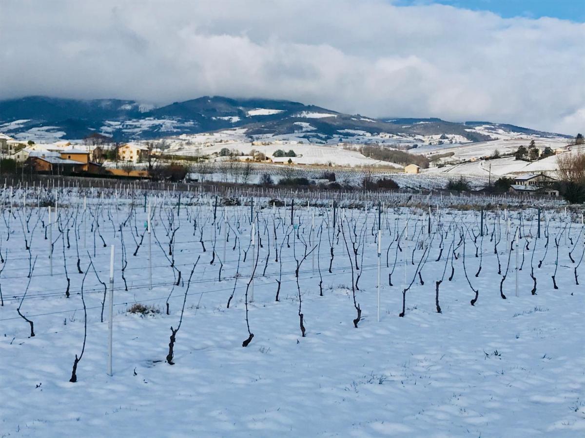La Boheme, Gite De Charme Quincie-en-Beaujolais Экстерьер фото