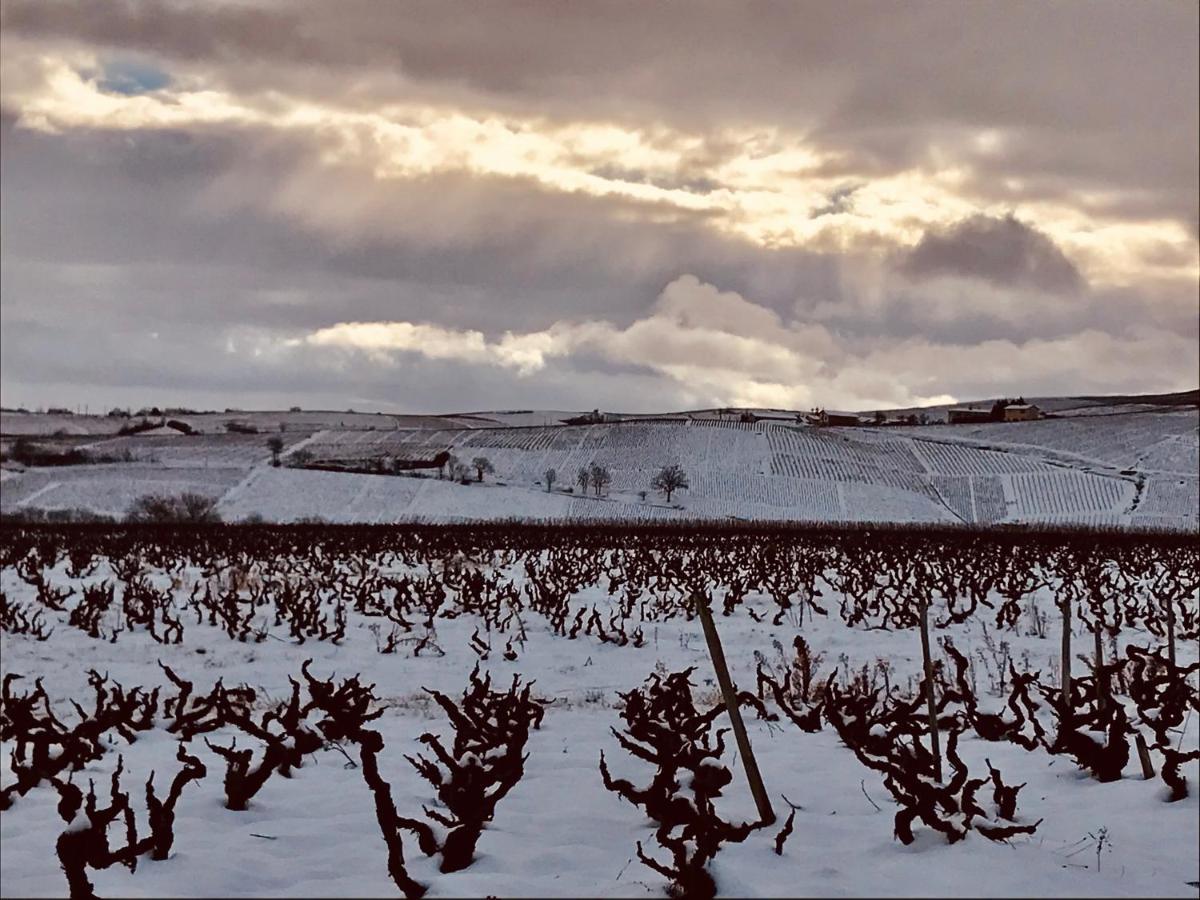 La Boheme, Gite De Charme Quincie-en-Beaujolais Экстерьер фото